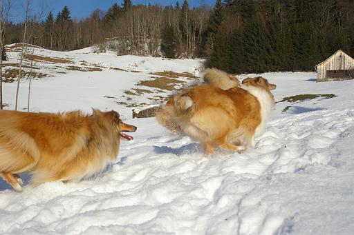 Fotos f. Homepage Galerie 014